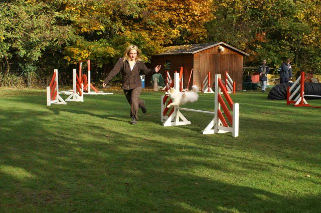 agility 2011-10-30